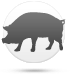 Sika